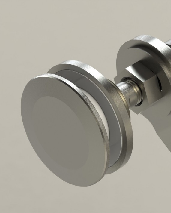 araña rotula detalle